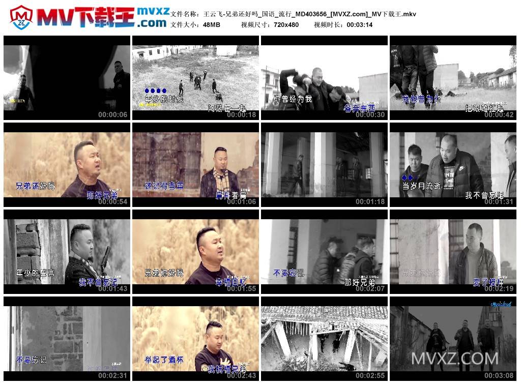 王云飞-兄弟还好吗_国语_流行_MD403656